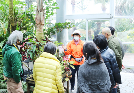 咲くやこの花館 フラワーツアー