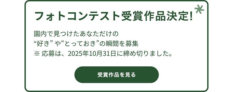 フォトコンテスト