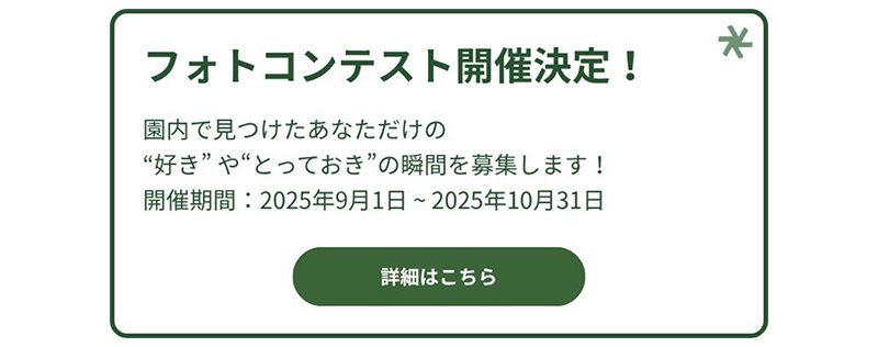 フォトコンテスト