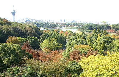 山のエリア