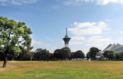 大芝生