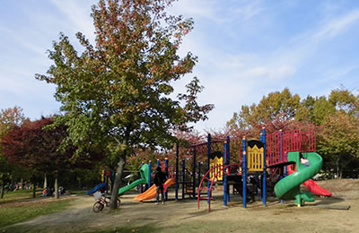 緑地 公園 鶴見 オーストラリア庭園｜花博記念公園鶴見緑地