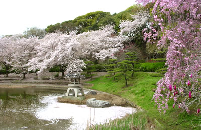 山のエリア 花博記念公園 鶴見緑地