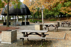 バーベキュー場 キャンプ場のご利用が便利になります ニュース 花博記念公園鶴見緑地
