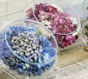 山野草アートボトル ドライフラワーアレンジメント教室 不思議なお花で遊ぶ イベント 花博記念公園鶴見緑地 山野草アートボトル ドライフラワーアレンジメント教室 不思議なお花で遊ぶ イベント 花博記念公園鶴見緑地