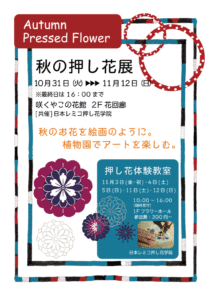 秋の押し花展