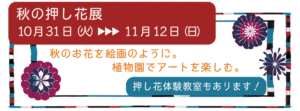 秋の押し花展PC用