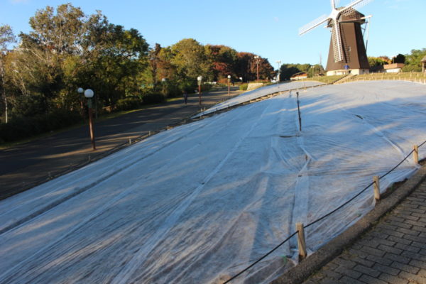 風車の丘 大花壇にチューリップを植え付けています ニュース 花博記念公園鶴見緑地 風車の丘 大花壇にチューリップを植え付けています ニュース 花博記念公園鶴見緑地