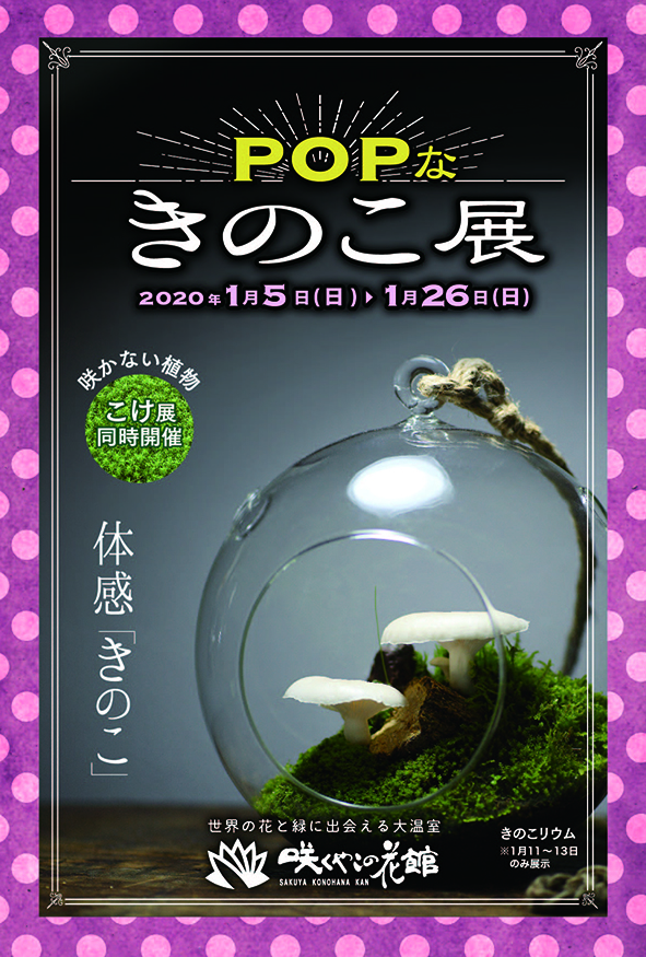 Popなきのこ展 イベント 花博記念公園鶴見緑地 Popなきのこ展 イベント 花博記念公園鶴見緑地