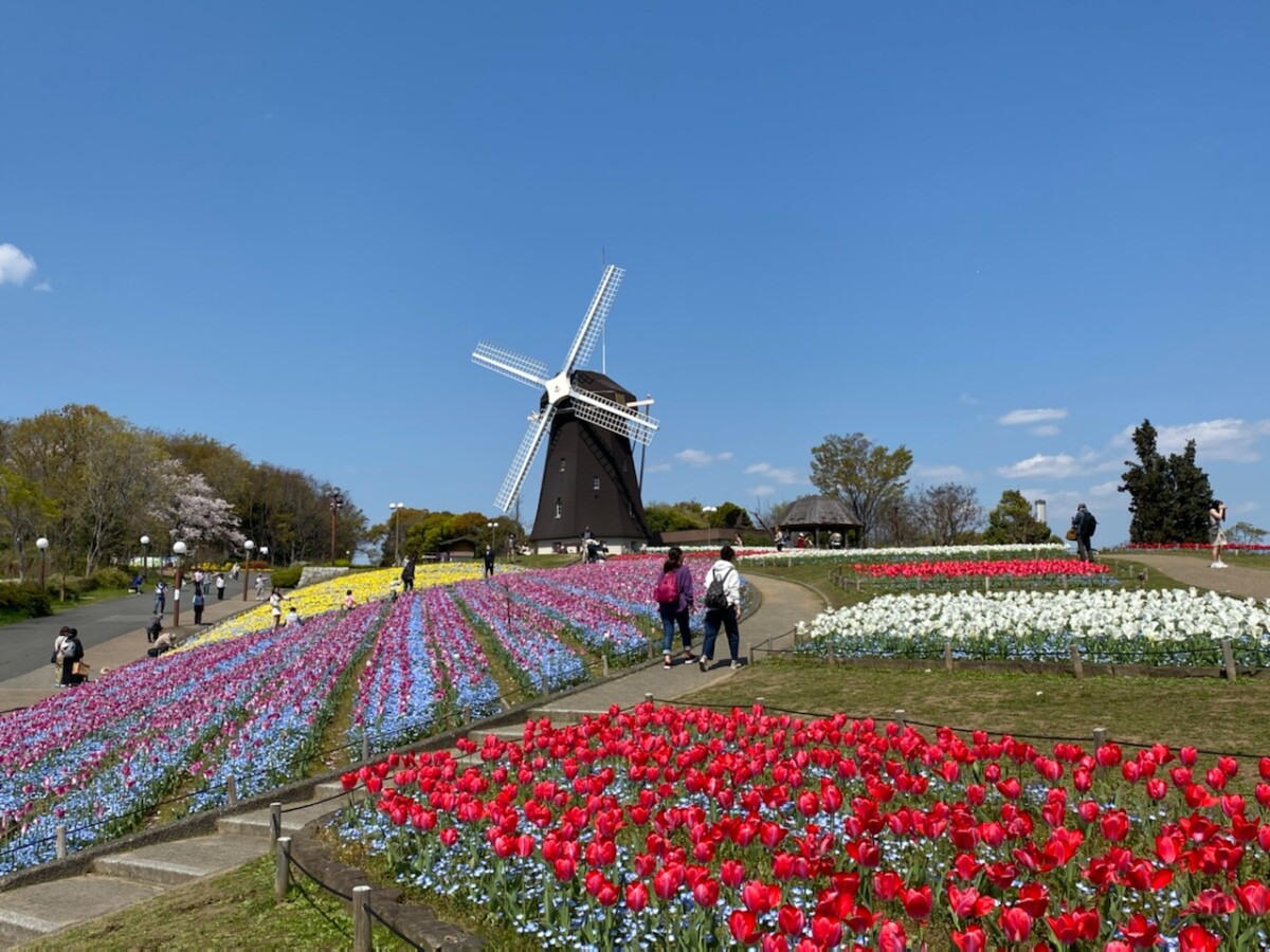 山のエリア 花博記念公園 鶴見緑地