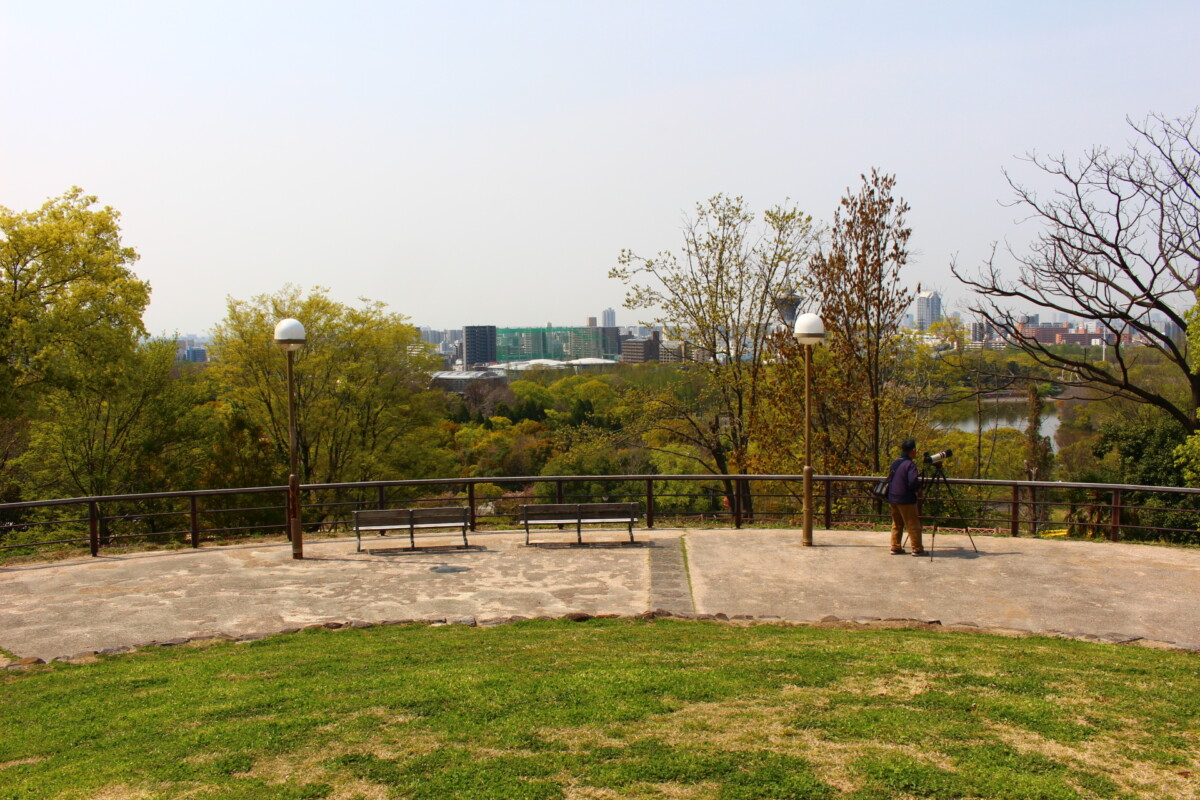 山のエリア 花博記念公園 鶴見緑地