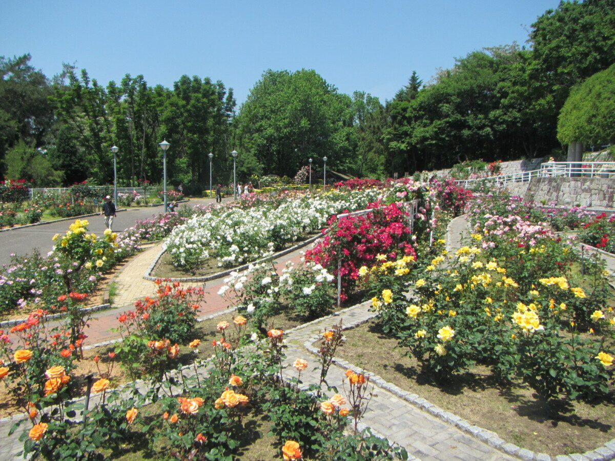 山のエリア 花博記念公園 鶴見緑地